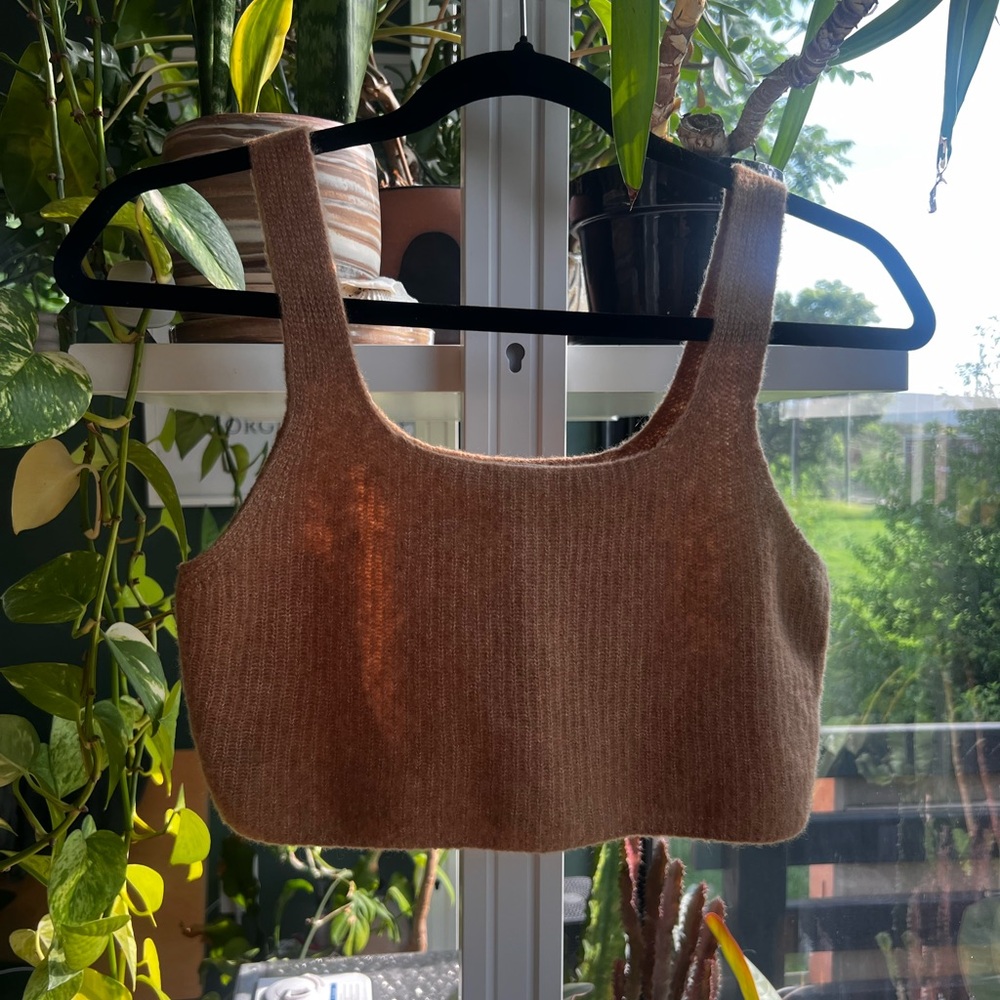 Everlane Brown Wool Knit Crop Tank Top